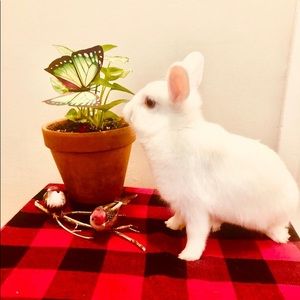 Meet your Posher, Erica